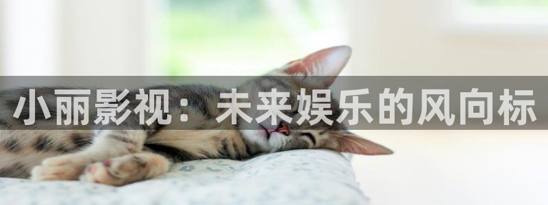 理论伦理片：小丽影视：未来娱乐的风向标