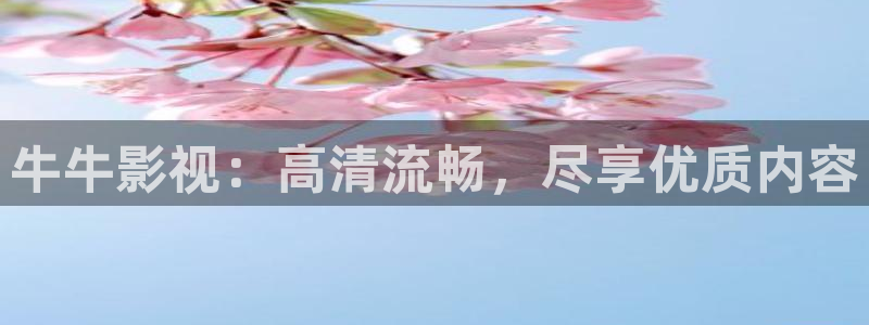 韩国理论电影一对一：牛牛影视：高清流畅，尽享优质内容