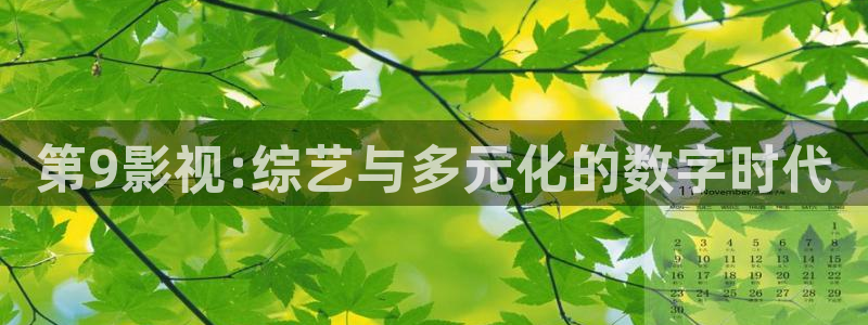 国产理论免费电影：第9影视:综艺与多元化的数字时代