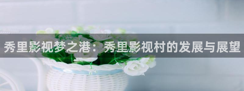 欧美理论电影在线免费观看：秀里影视梦之港：秀里影视村的发展与展望
