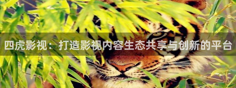 神马影院理论片韩国：四虎影视：打造影视内容生态共享与创新的平台