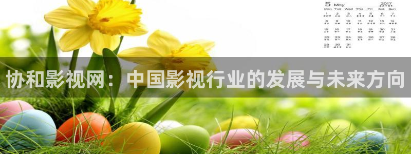 日本理论电影2019：协和影视网：中国影视行业的发展与未来方向