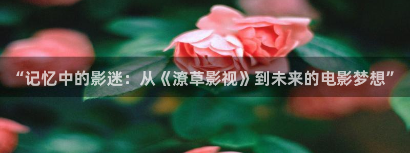 理论影院免费观看：“记忆中的影迷：从《潦草影视》到未来的电影梦想”