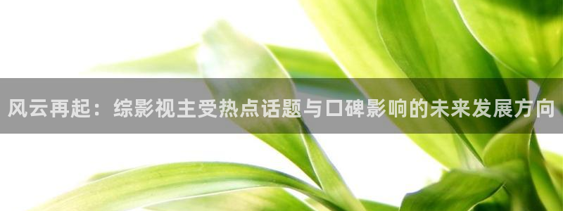 6080理论电影在线观看：风云再起：综影视主受热点话题与口碑影响的未来发展方向