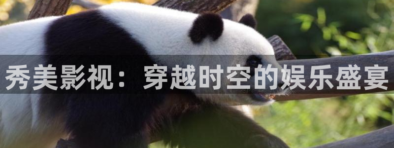97影院理论不卡影院：秀美影视：穿越时空的娱乐盛宴