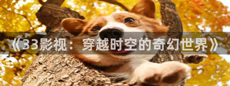 2828理论电影：《33影视：穿越时空的奇幻世界》