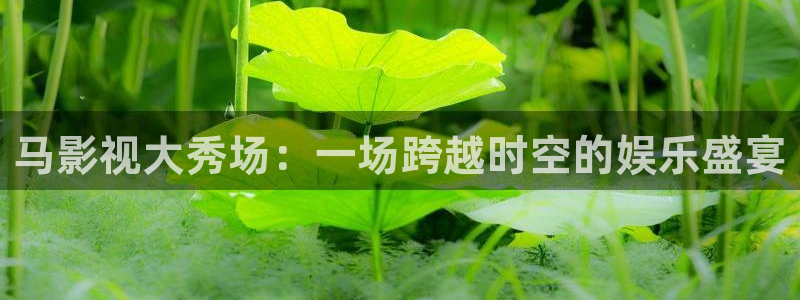 3级理论电影：马影视大秀场：一场跨越时空的娱乐盛宴