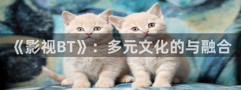 yy4480私人理论：《影视BT》：多元文化的与融合